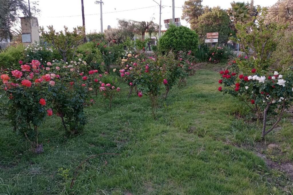 Chalet La Casona, Rural En Con Piscina Junin De Mendoza *