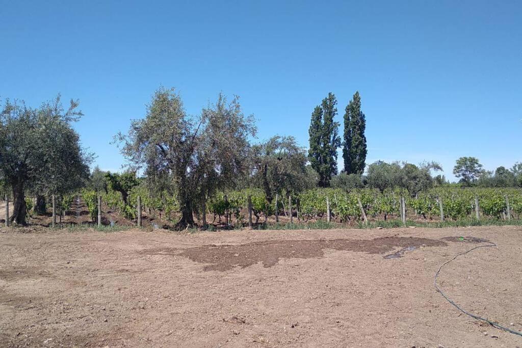 La Casona, Rural En Con Piscina Junin De Mendoza Chalet *