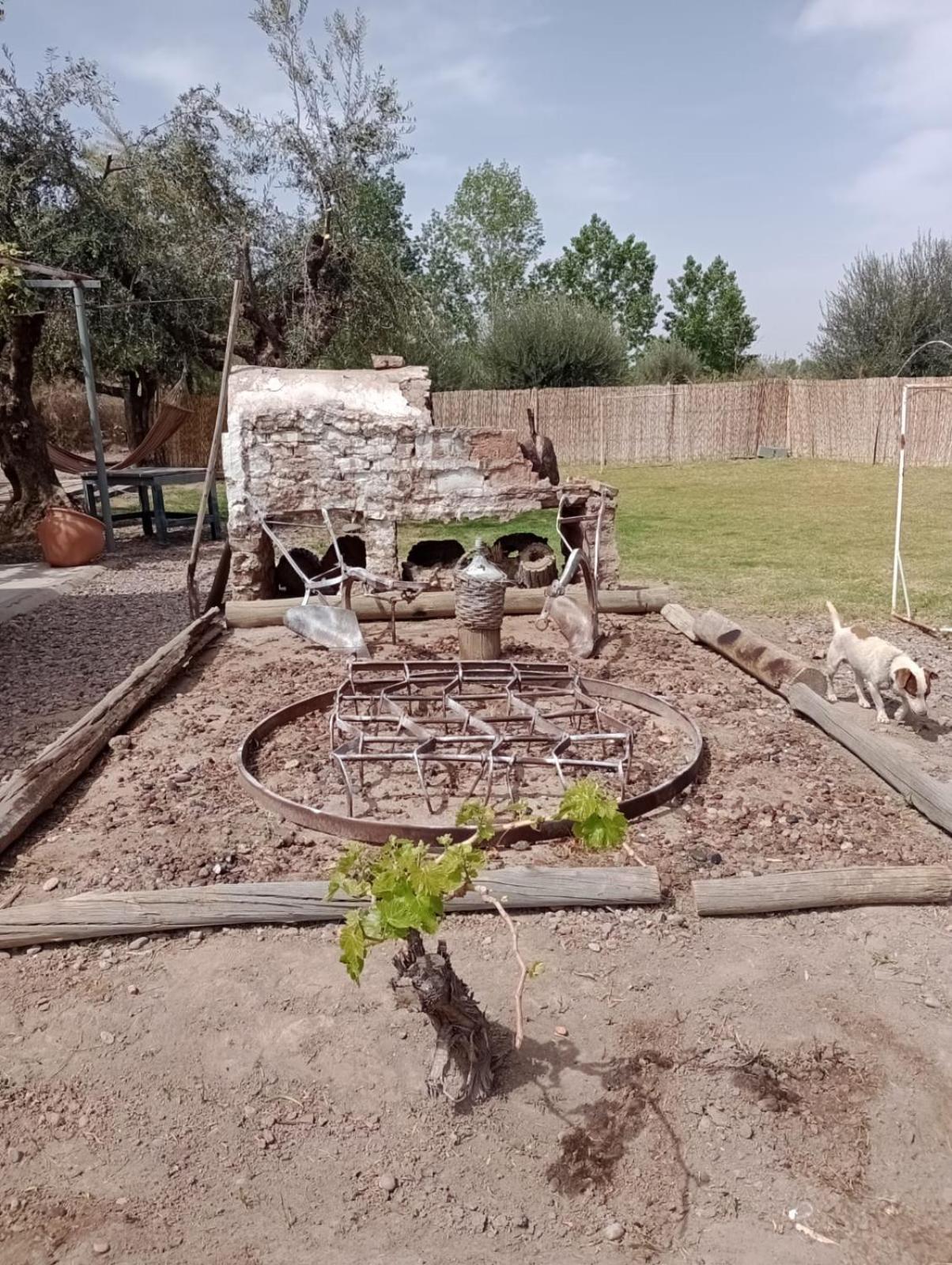 La Casona, Rural En Con Piscina Junin De Mendoza *