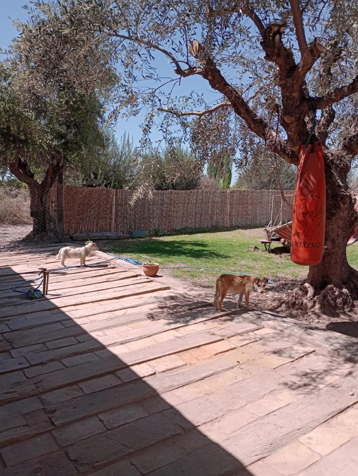 La Casona, Rural En Con Piscina Junin De Mendoza * Junin (Mendoza)